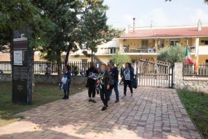 p1d1m7ffcb1517nc1adi1uta98of