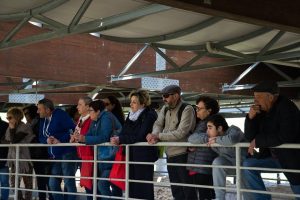 p1d7a7j6j2cgk96914a91a31g4h6