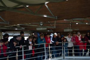 p1d7a7j6j2gft4n61v9713ki1opf8